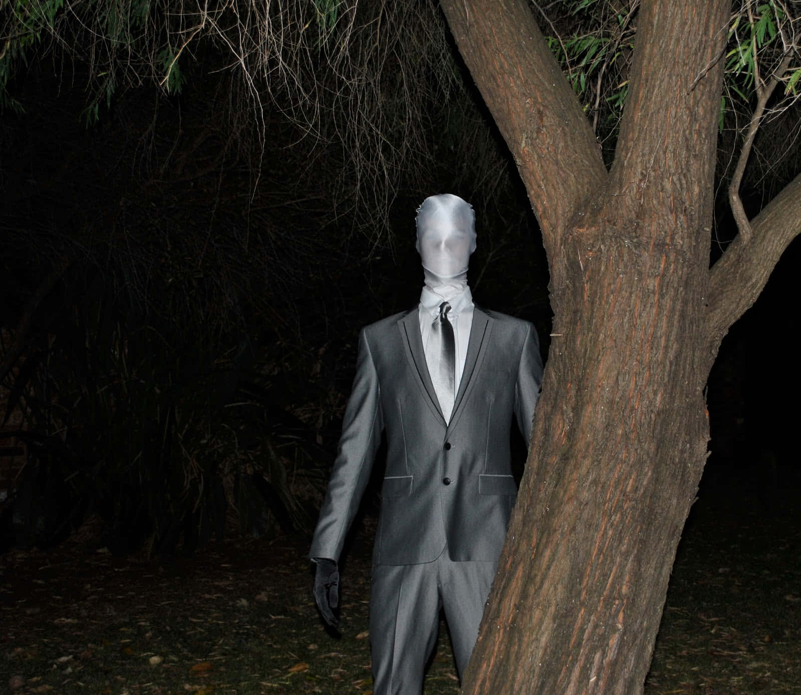 Slenderman Im Grauen Anzug Vor Einem Baum Bild