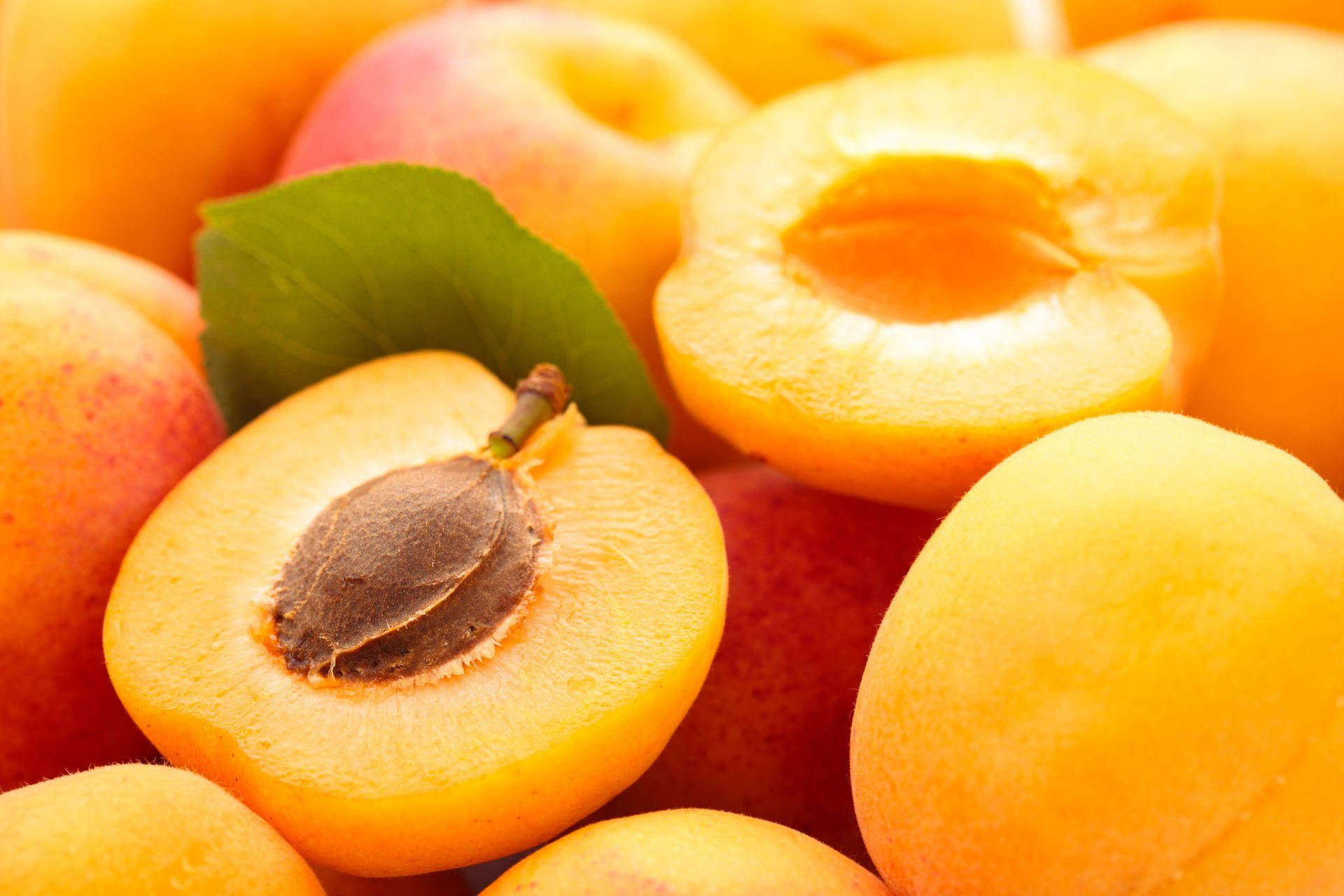 Slice Of Ripe Apricot Fruits With Seed Wallpaper