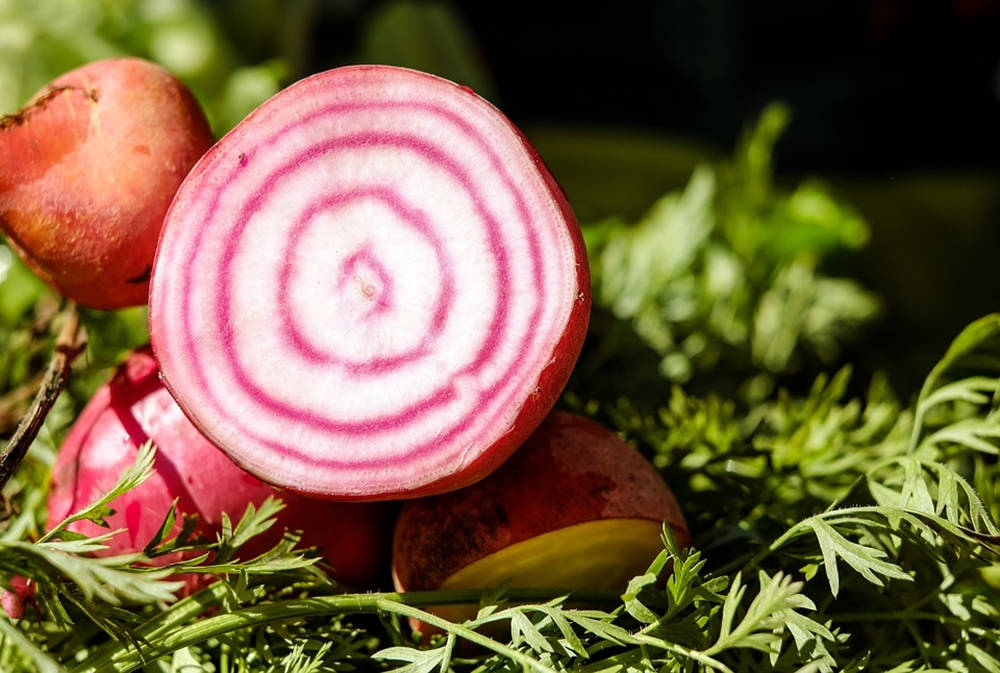Sliced Beetroot With White Flesh Wallpaper