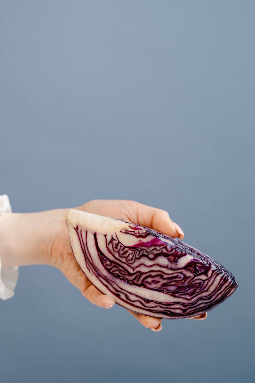 Sliced Cabbage Wallpaper