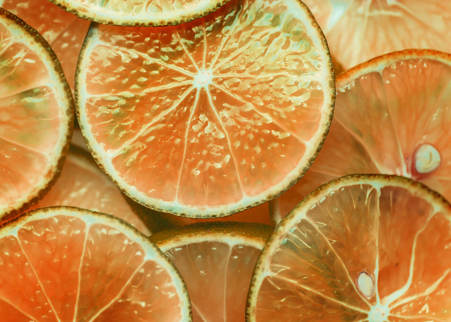 Sliced Citrus Fruit Texture Wallpaper