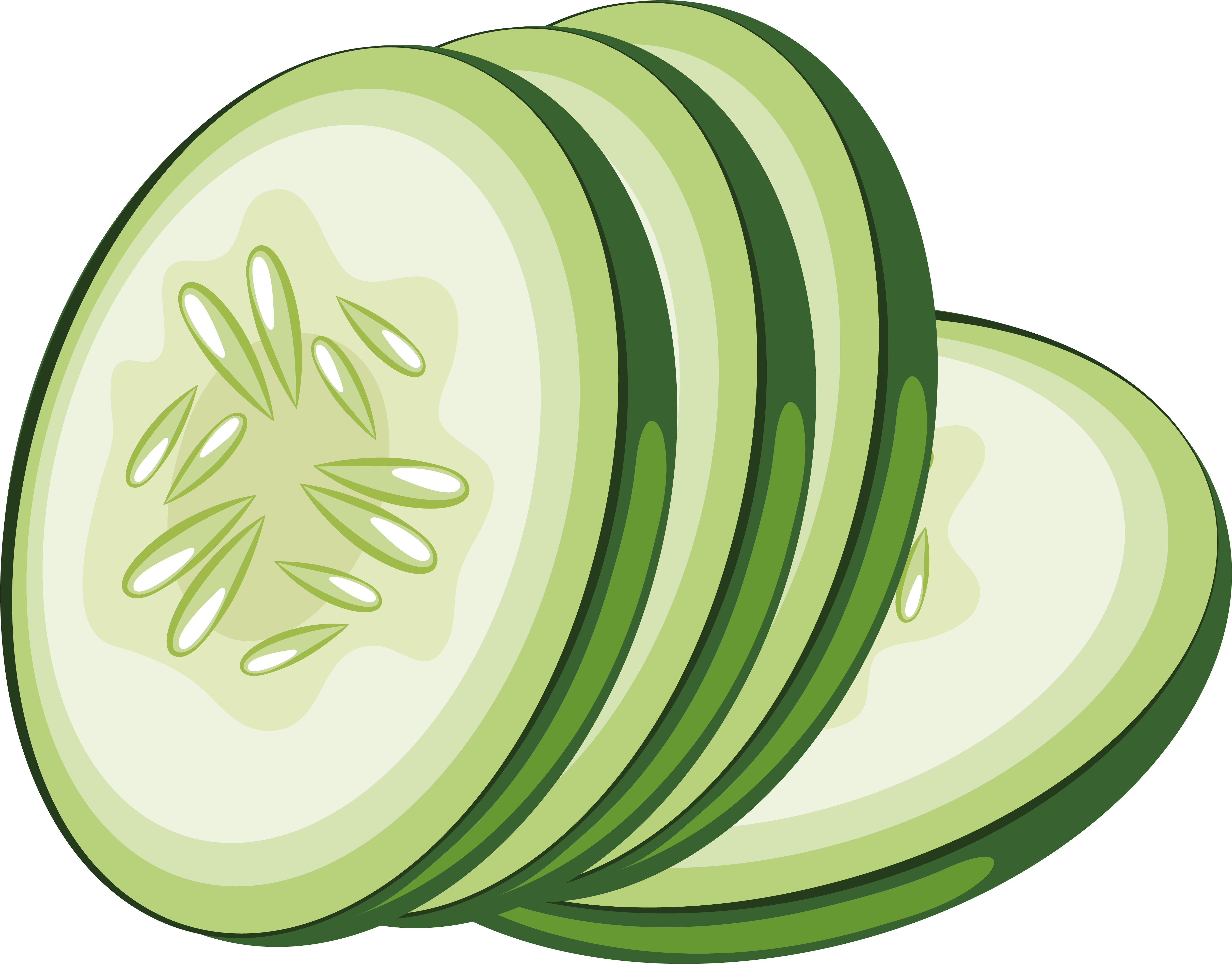 Sliced Cucumber Vector Illustration PNG