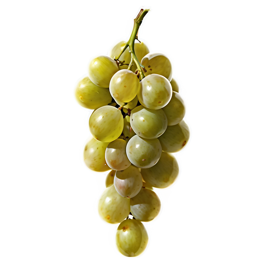 Sliced Grape Png 26 PNG