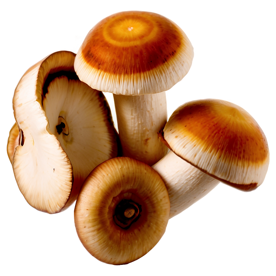 Sliced Mushrooms Png 05242024 PNG