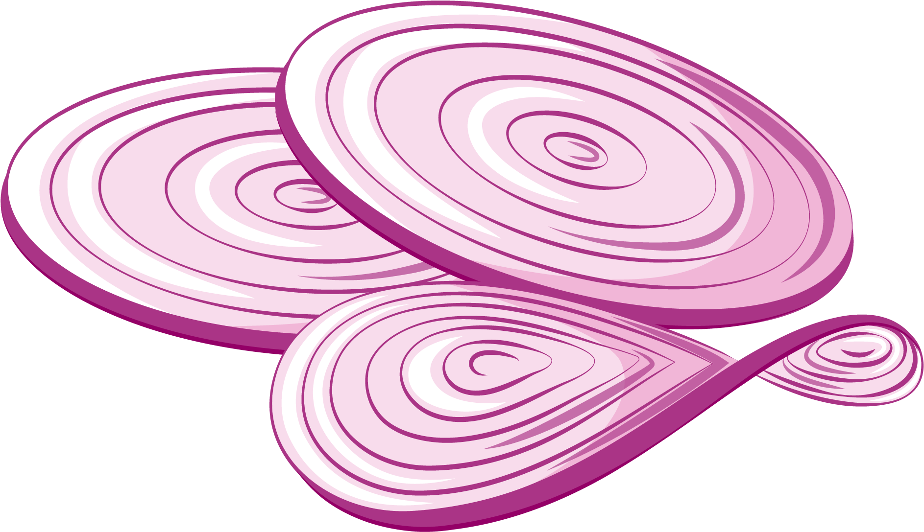 Sliced Onion Illustration PNG