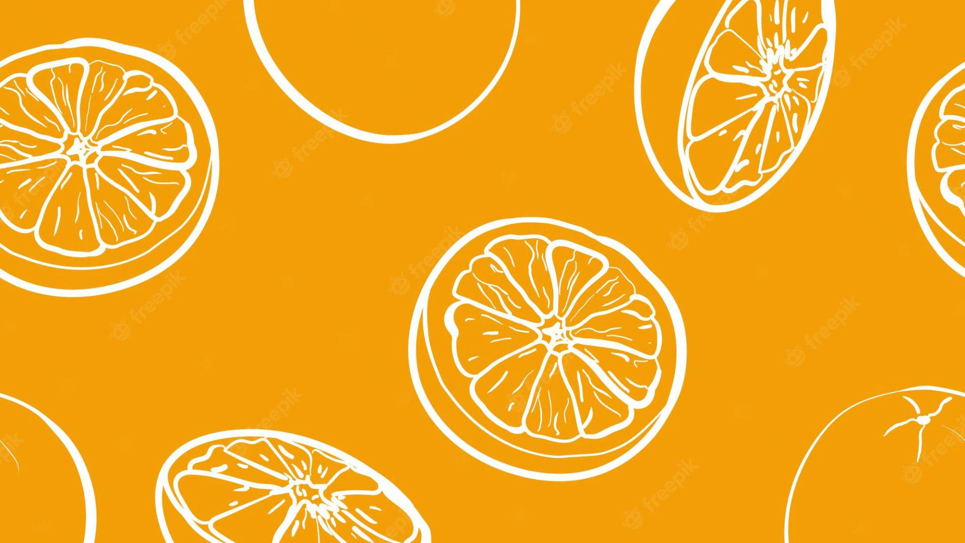 Sliced Orange Fruit Drawings