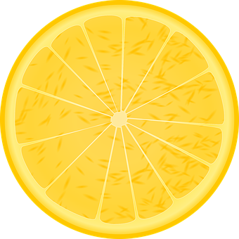 Sliced Orange Illustration PNG