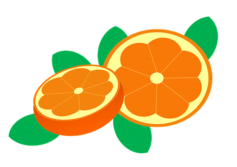 Sliced Oranges Illustration PNG