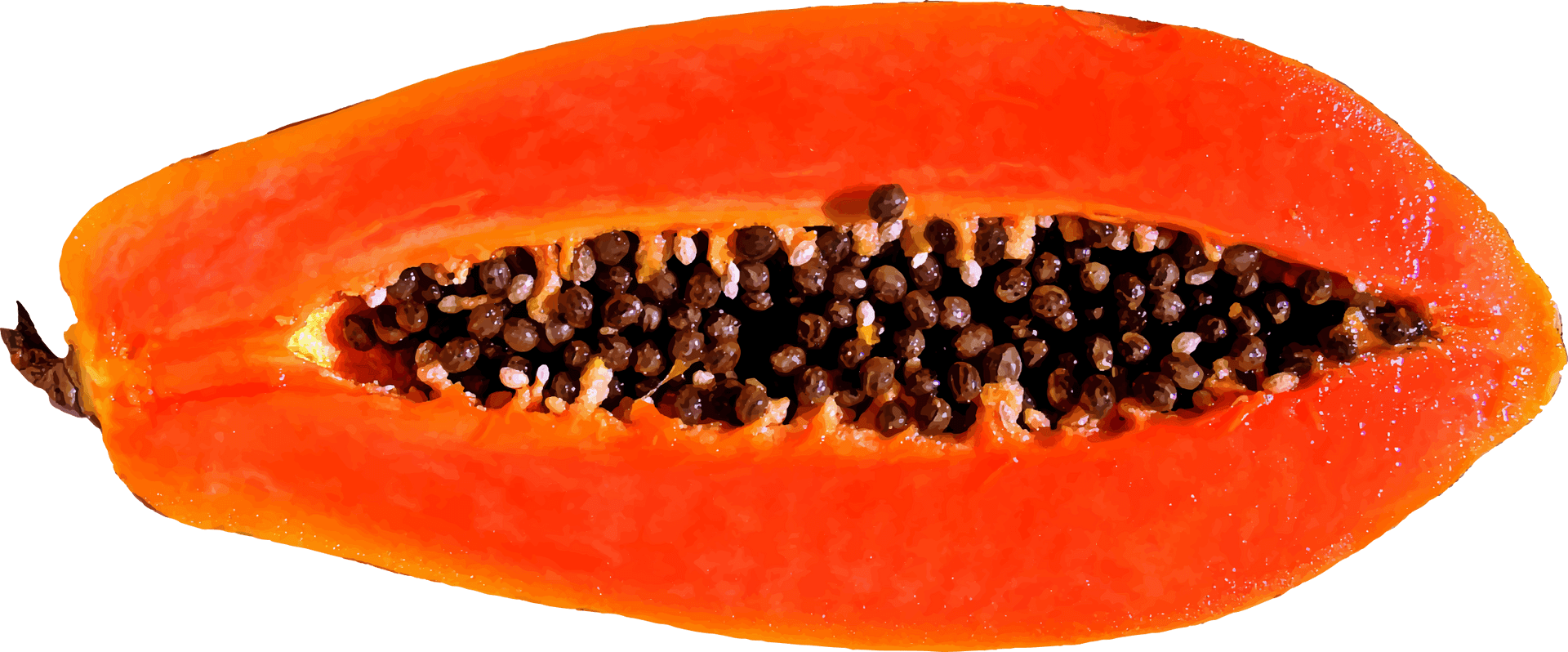 Sliced Papaya Fruit Transparent Background PNG