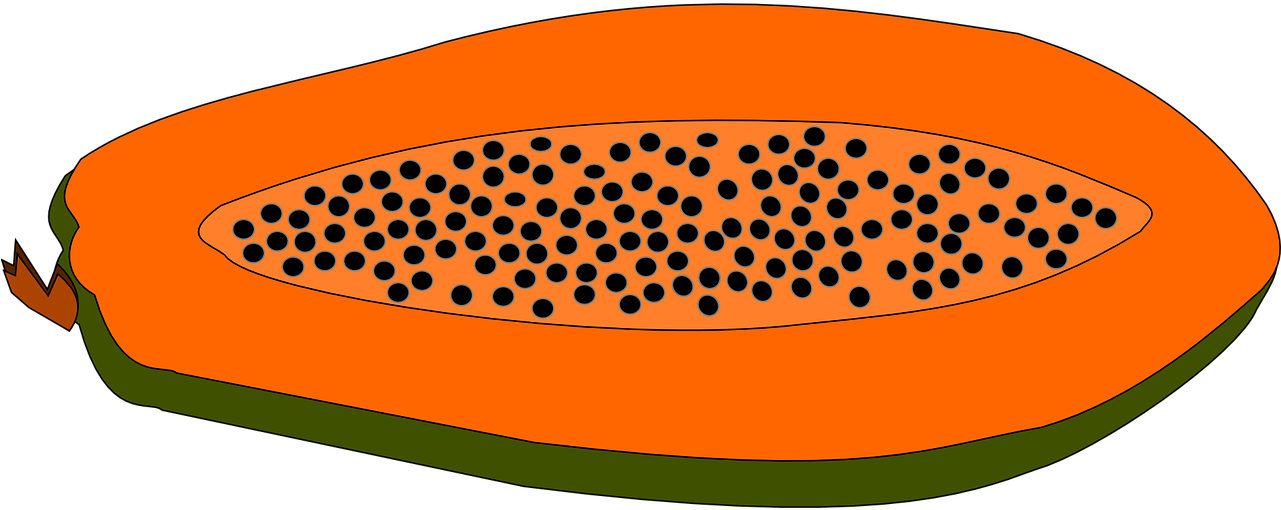 Sliced Papaya Illustration PNG