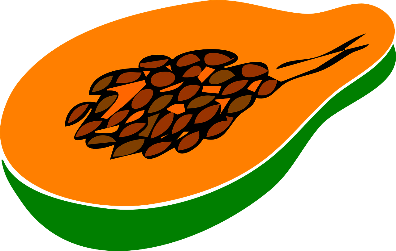 Sliced Papaya Illustration PNG