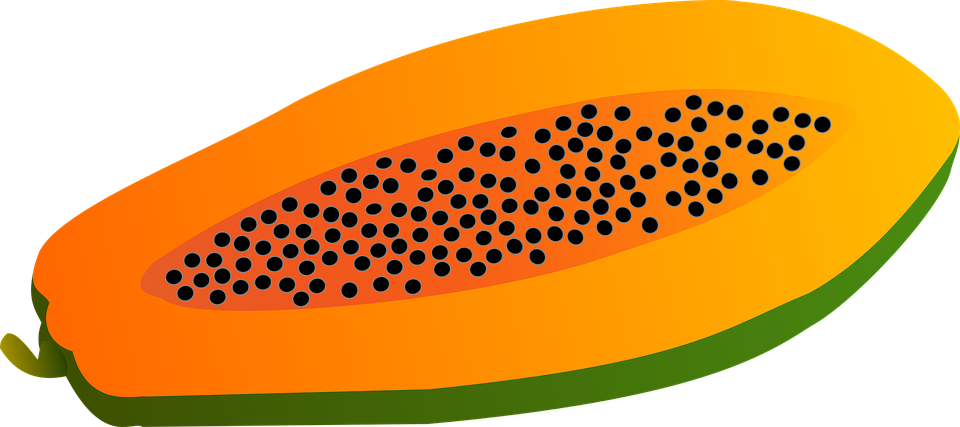 Sliced Papaya Vector Illustration PNG