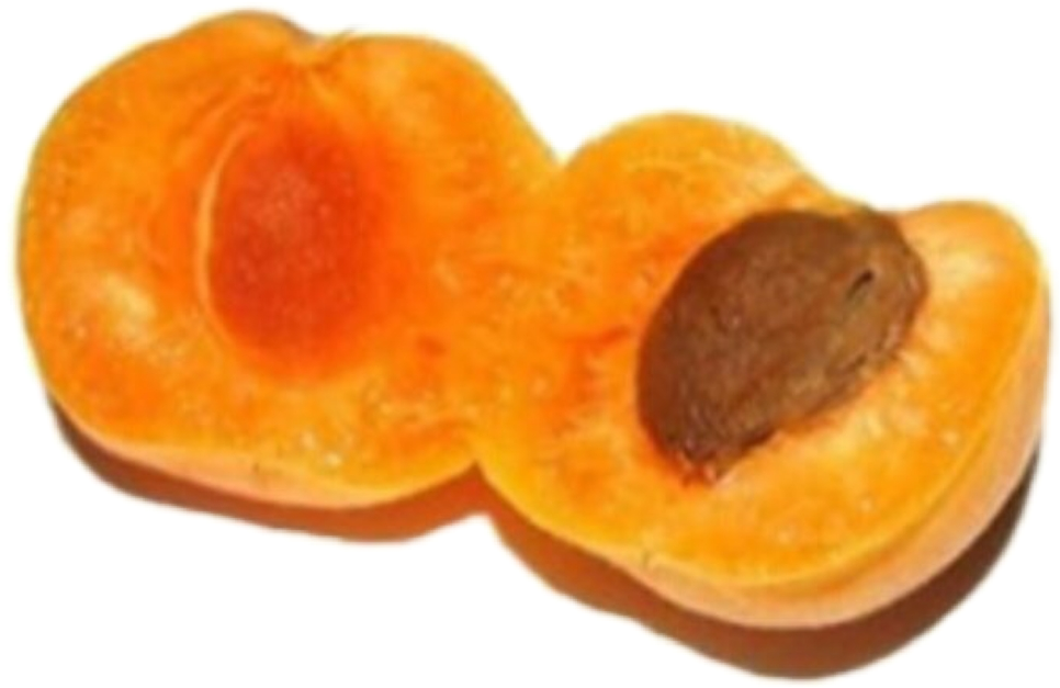 Sliced Peach Halfwith Pit.png PNG
