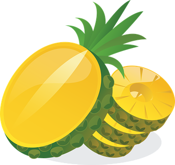 Sliced Pineapple Vector Illustration PNG