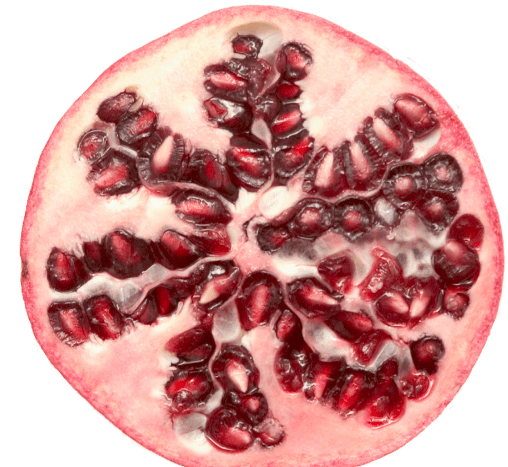 Sliced Pomegranate Cross Section PNG