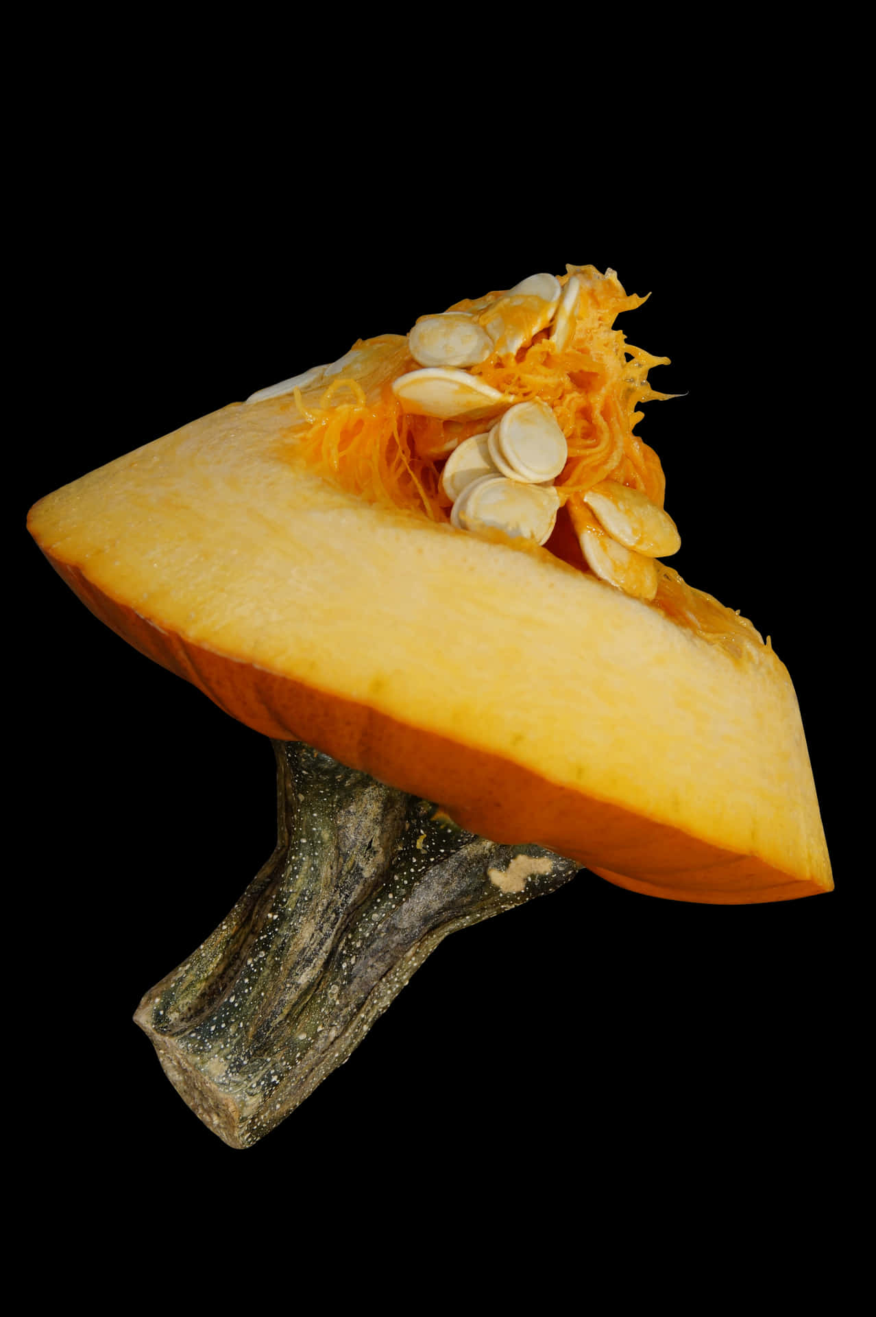 Sliced Pumpkin Seed Exposure PNG