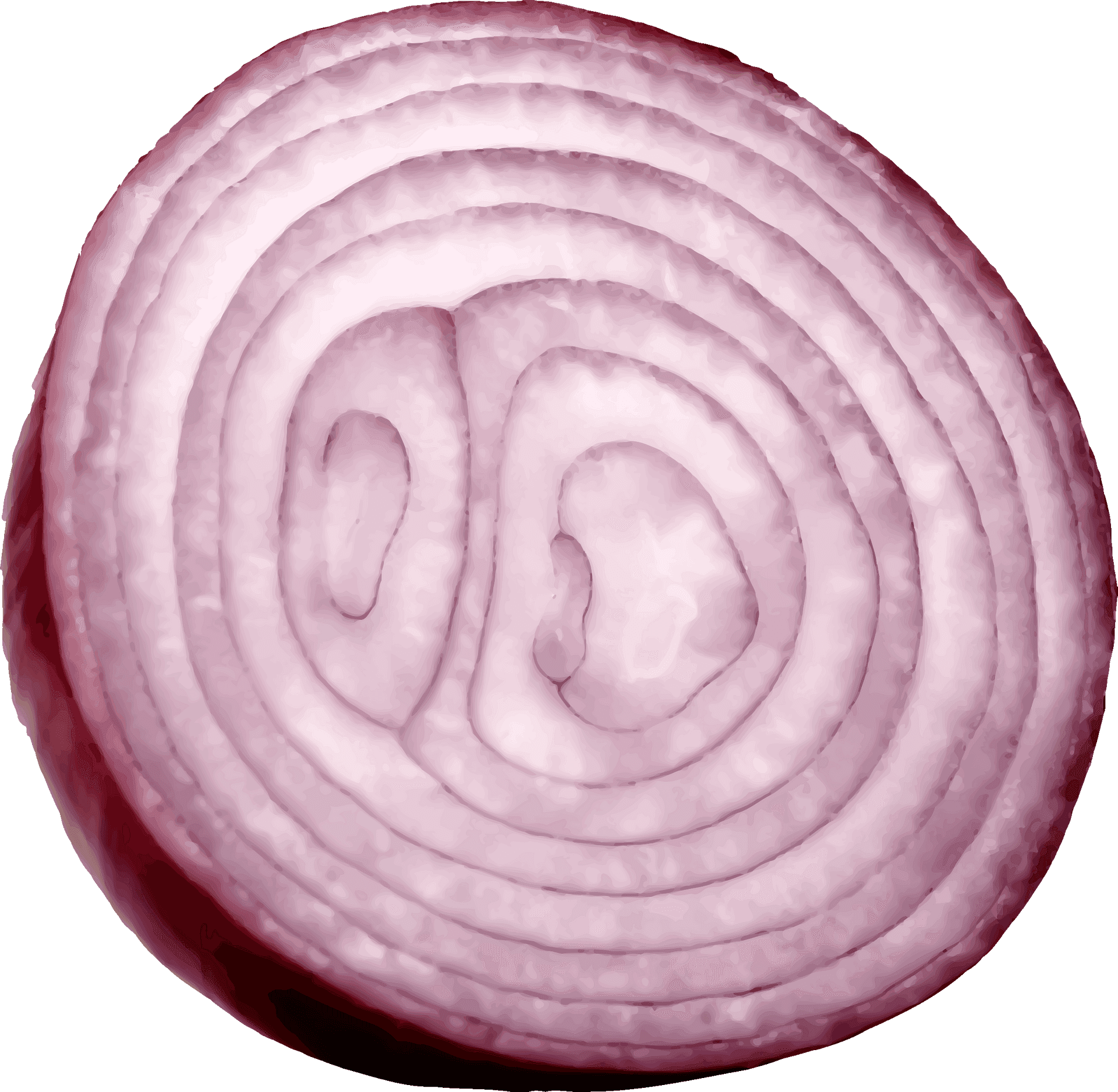 Sliced Red Onion Cross Section PNG