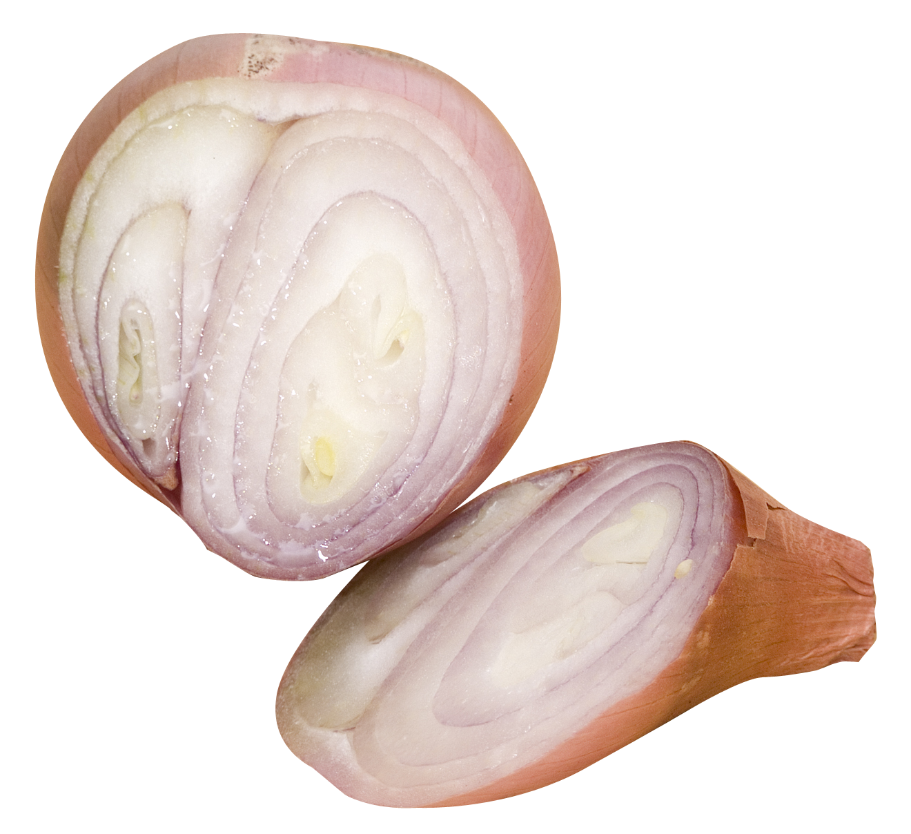 Sliced Shallot Transparent Background PNG