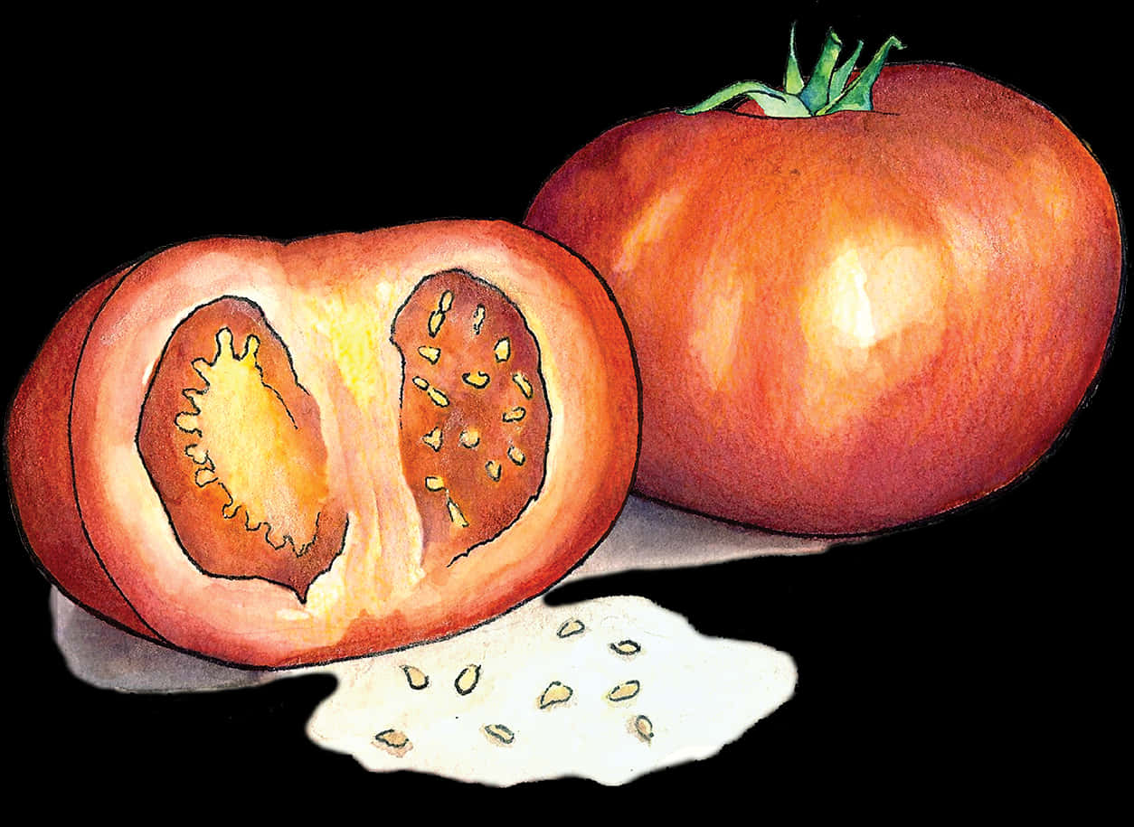 Sliced Tomato Watercolor Illustration PNG