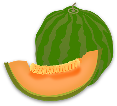 Sliced Watermelon Illustration PNG