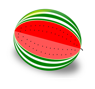 Sliced Watermelon Vector Illustration PNG