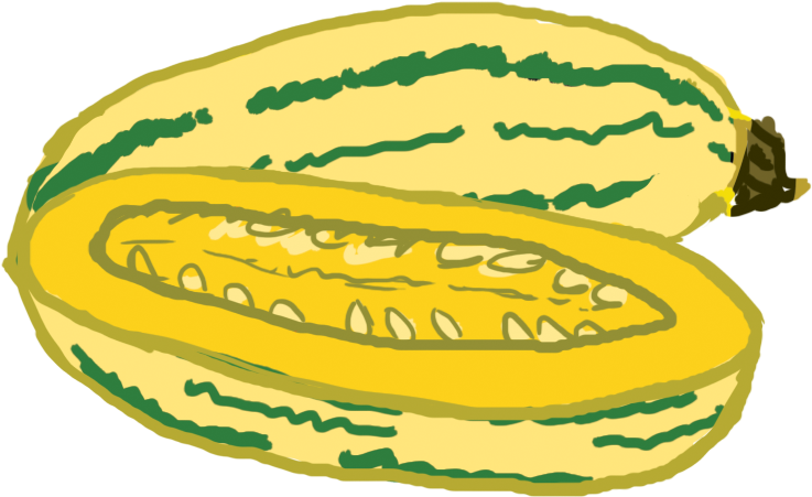 Sliced Yellow Zucchini Illustration PNG