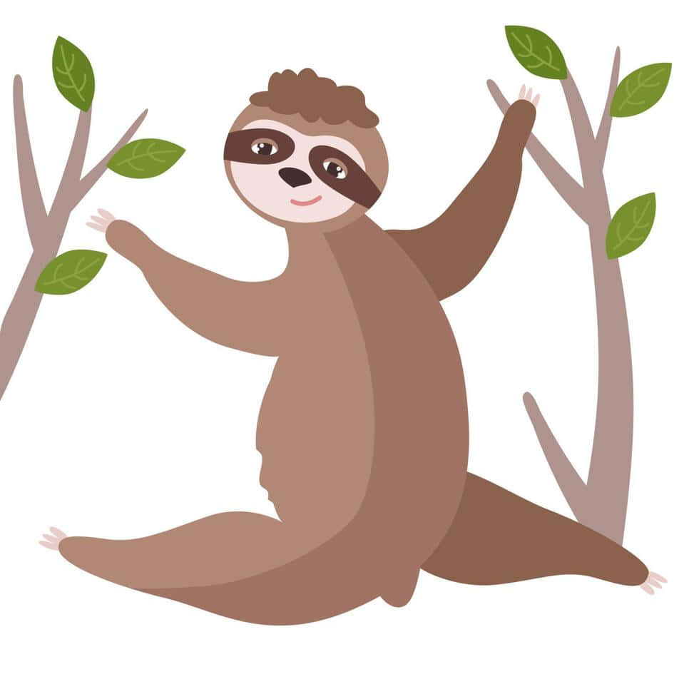 Taking it slow - A Sloth Living in Paradise