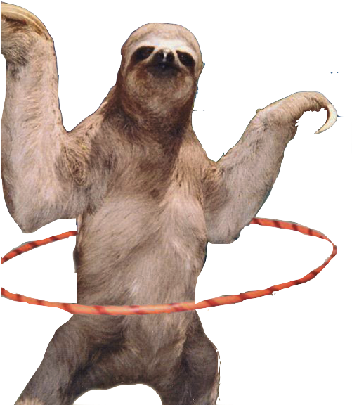 Sloth Hula Hooping Fun PNG