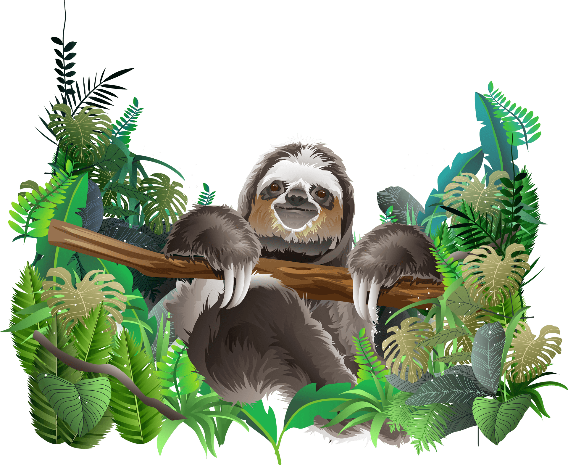 Sloth_in_ Rainforest_ Foliage PNG