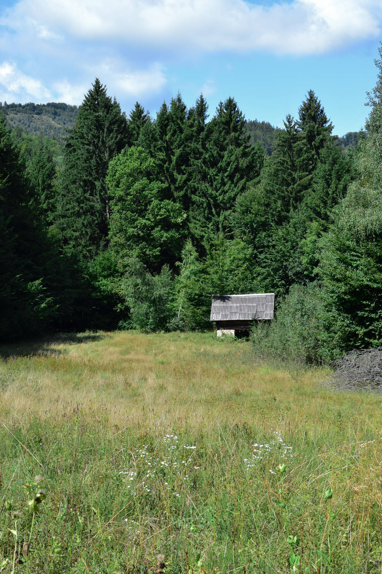 Slowenienkleine Hütte Im Wald Wallpaper