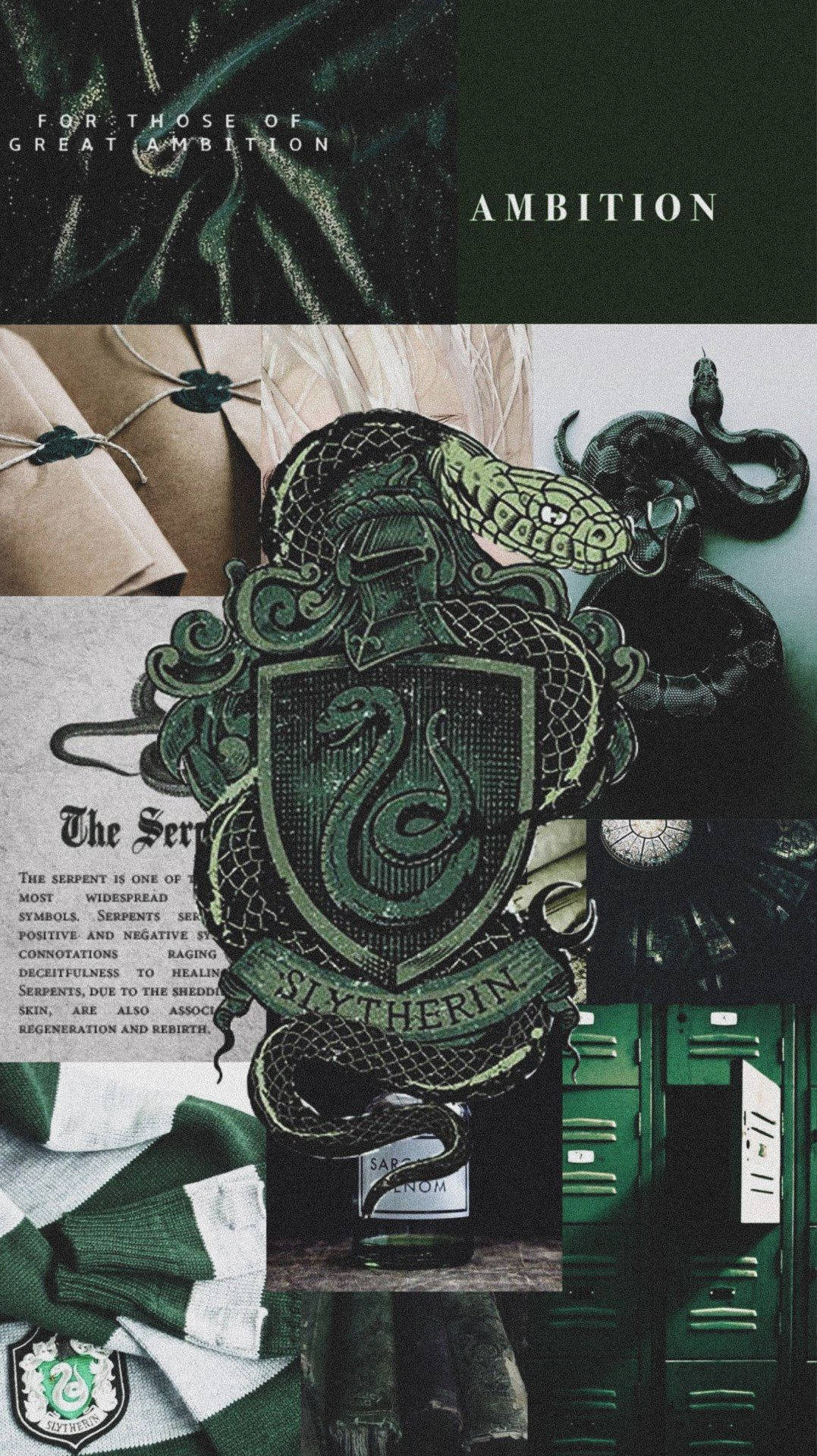 Slytherin Aesthetic Cartoonish Snake Emblem Wallpaper