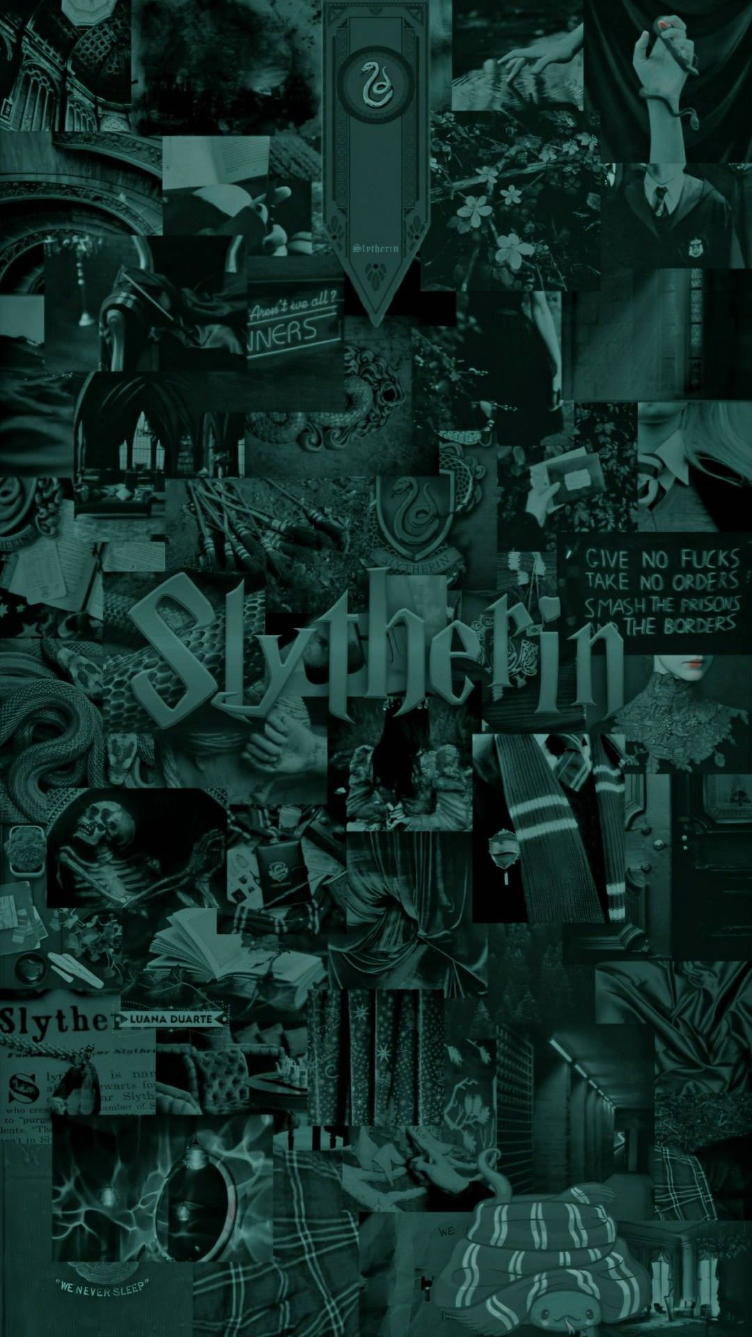 Slytherin Aesthetic Monochromatic Poster Wallpaper