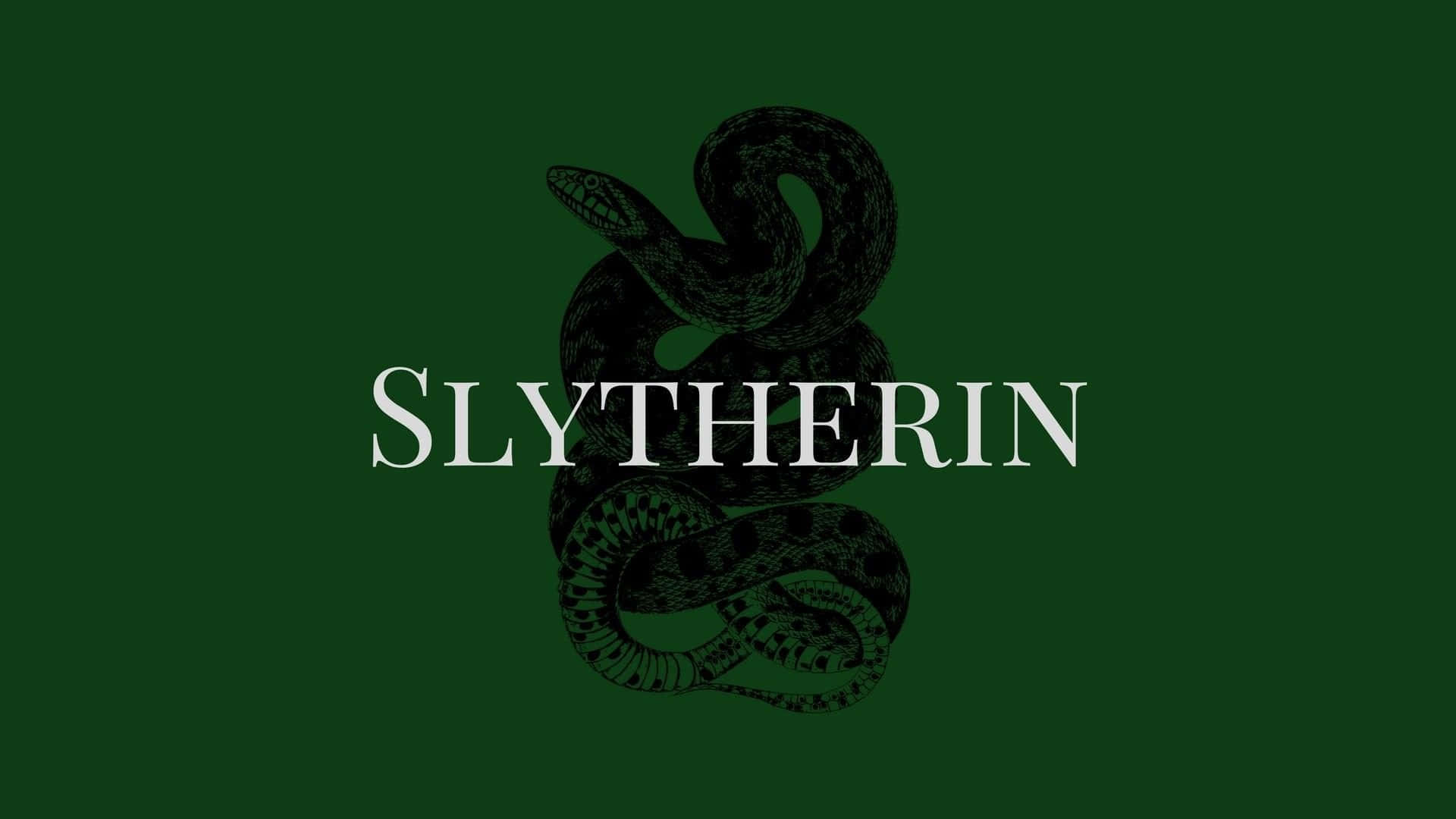 Who will prevail in the epic battle between Gryffindors and Slytherins?