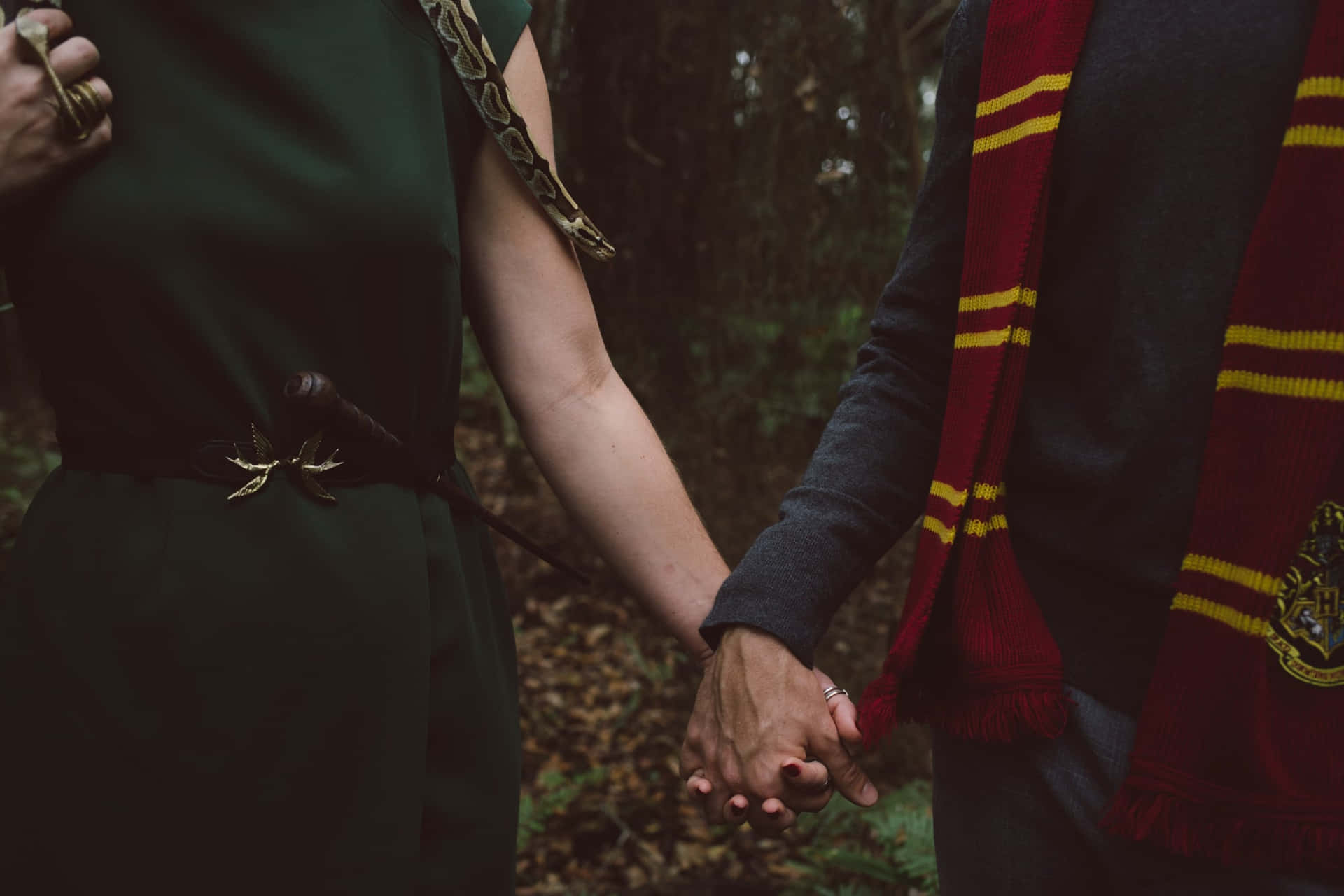 "Welcome to Slytherin Aesthetic, Embrace Your Inner Serpent!"