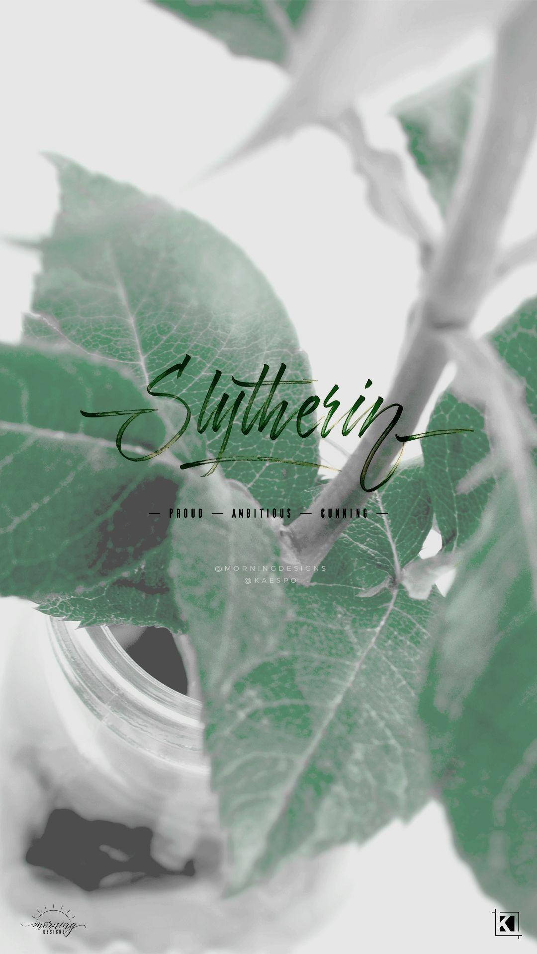 Slytherin Aesthetic Proud Ambitious Cunning Wallpaper