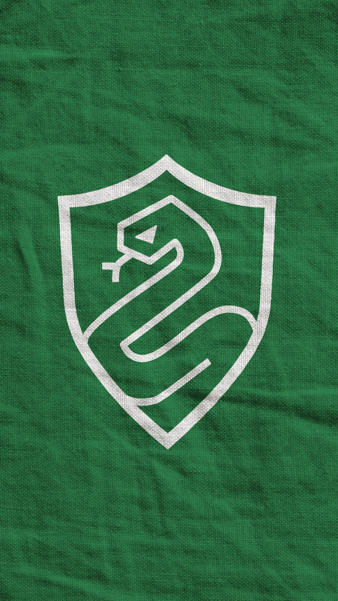 Slytherin Aesthetic Snake And Shield Cloth Wallpaper