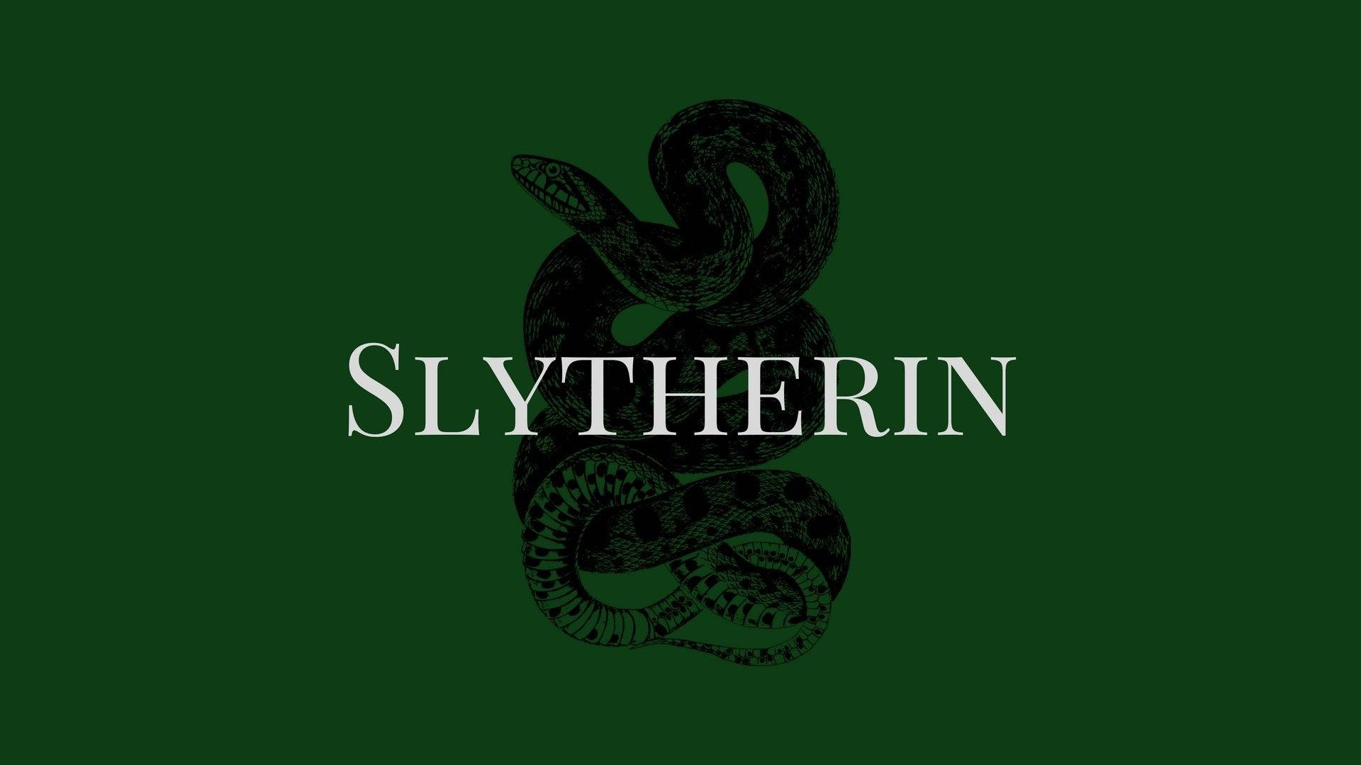 Estéticada Casa Slytherin - Ilustração De Cobra Papel de Parede
