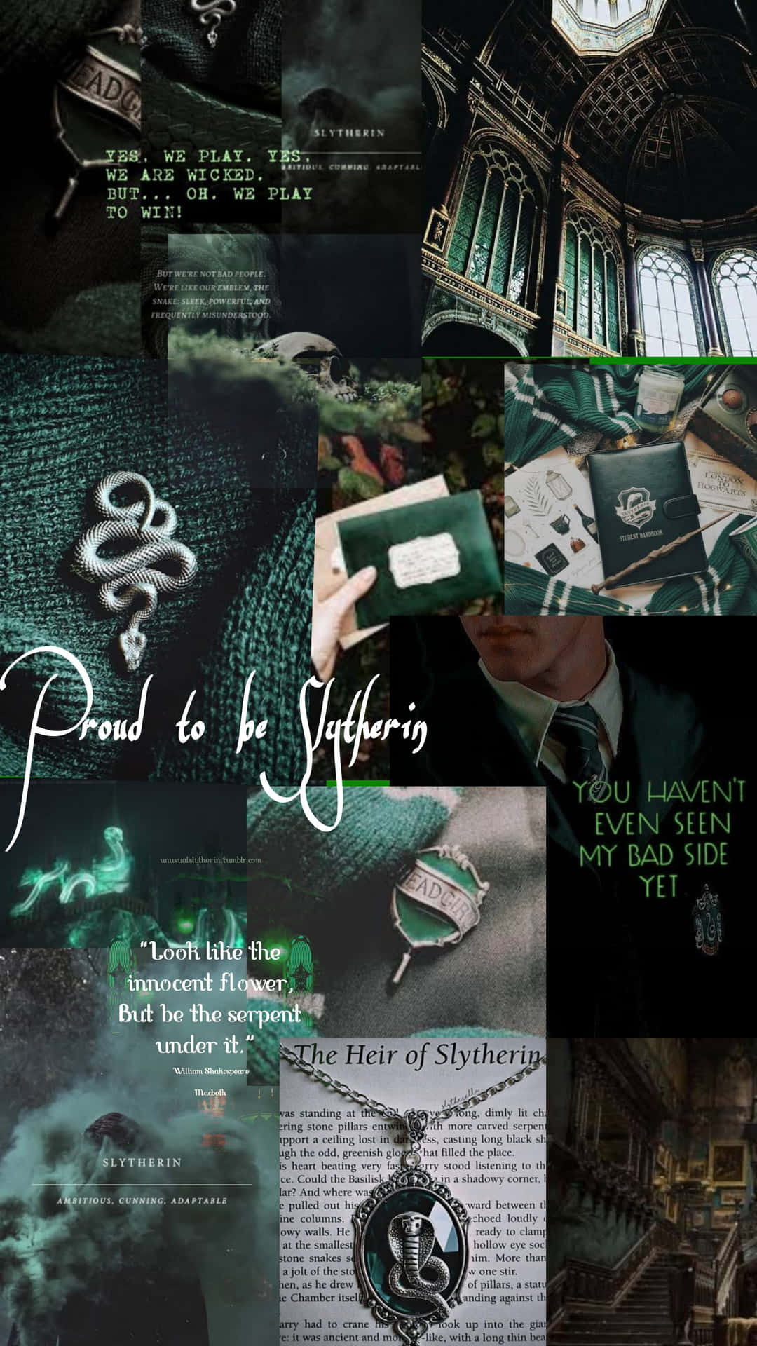 All Hail the House of Slytherin!