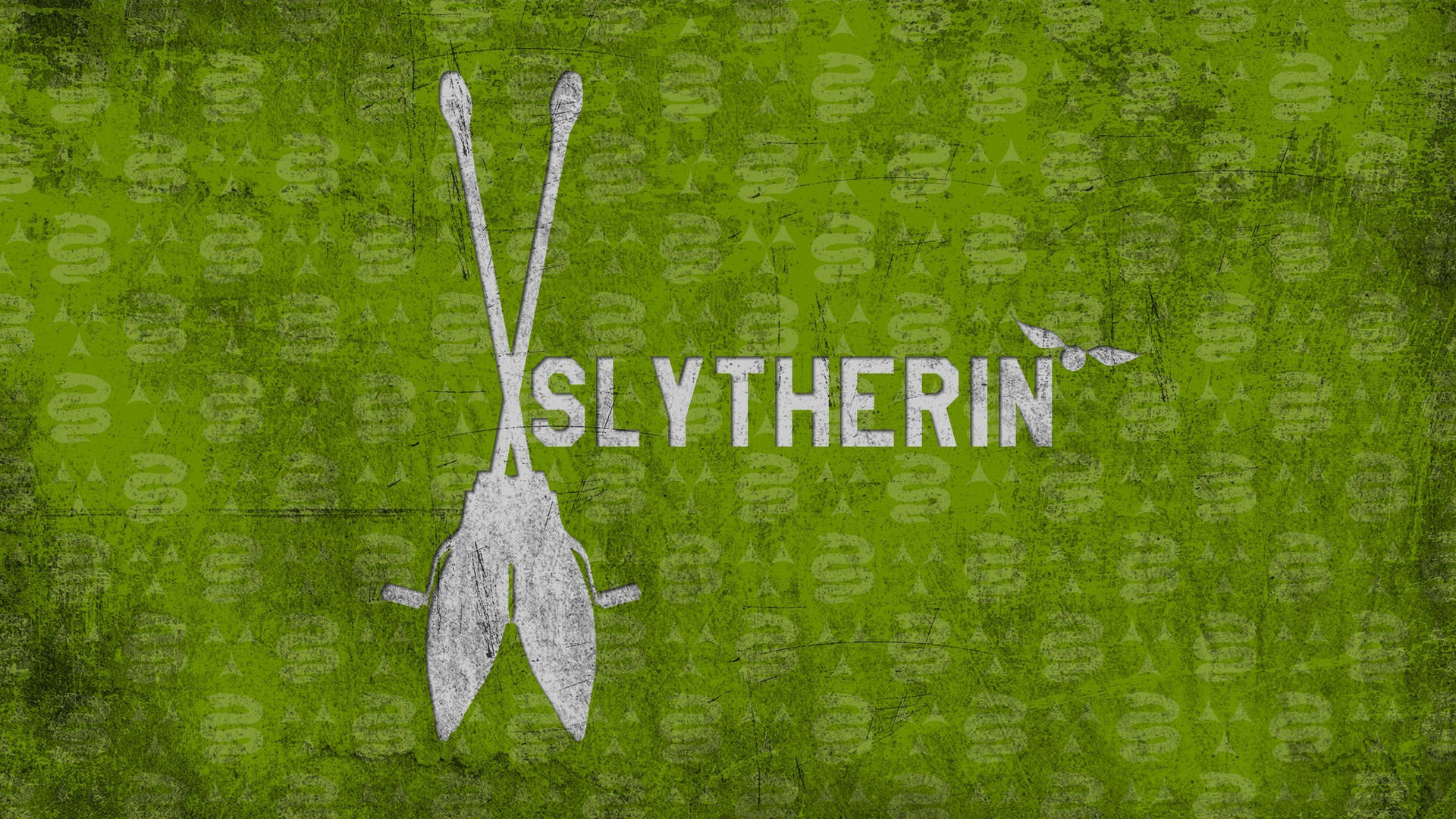 Slytherin Quidditch Team Harry Potter Desktop Wallpaper
