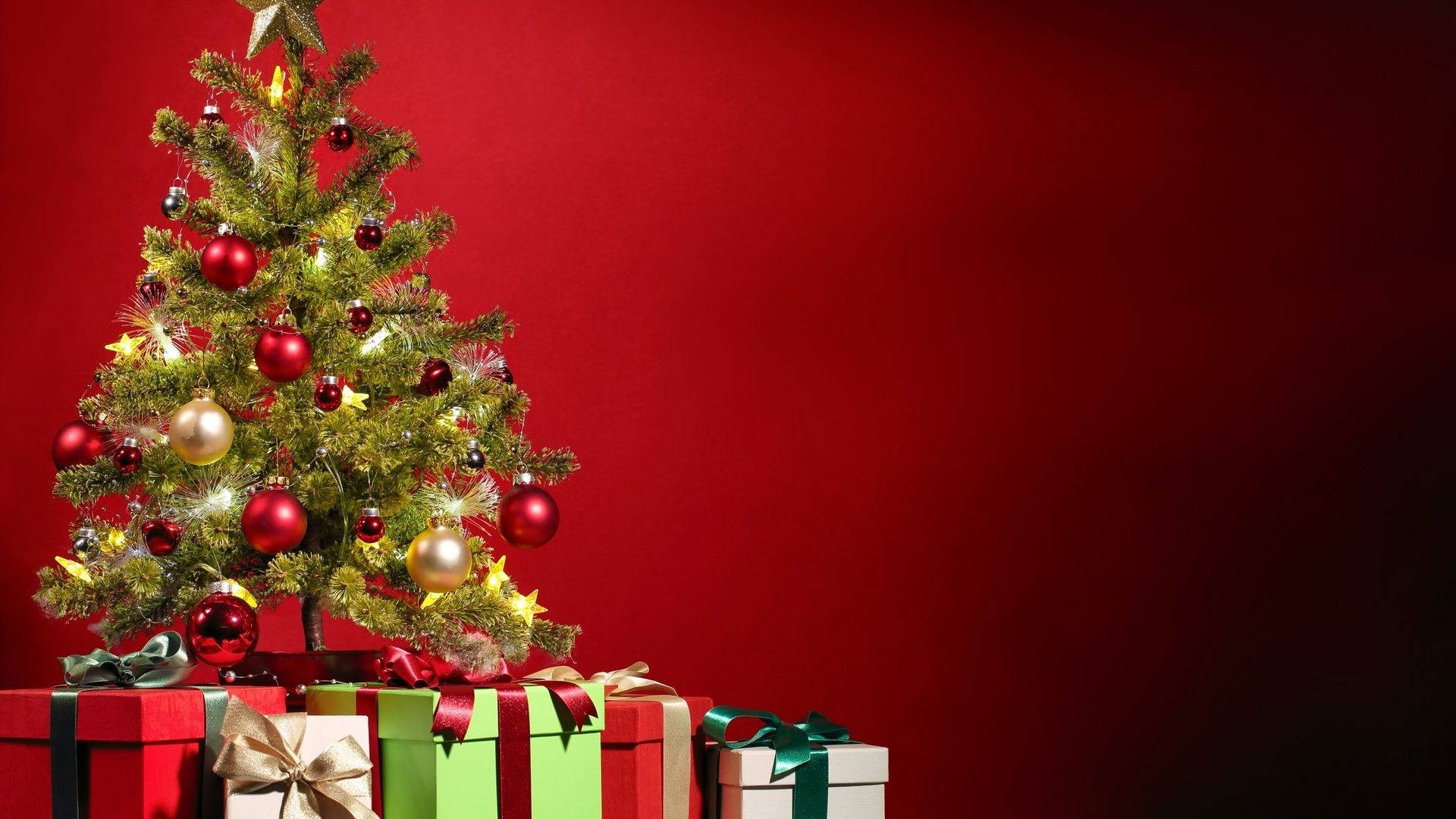 Celebrate the Holidays with a Small Christmas Tree surrounded by Gifts Wallpaper