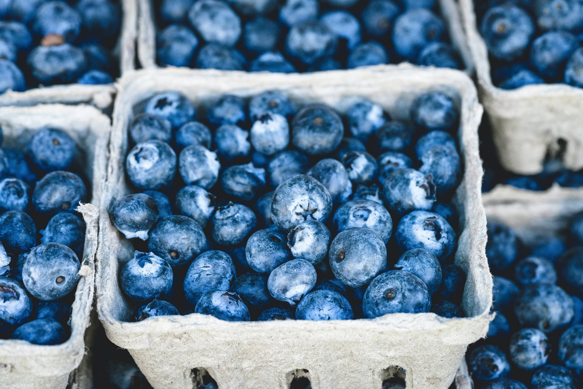 Freshly Harvested Blueberries in Small Wooden Crates Wallpaper