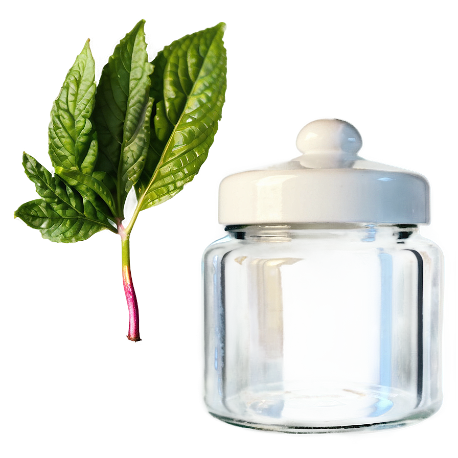 Small Glass Jar Png Tpd65 PNG