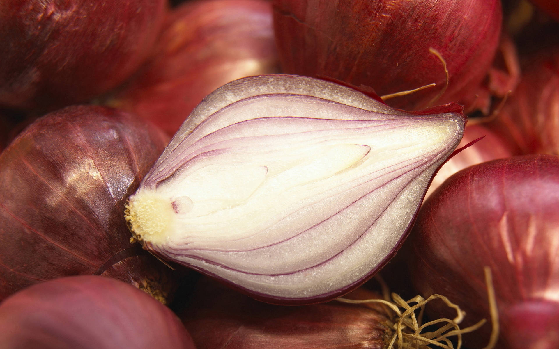 Small Half Red Onion Vegetable Wallpaper