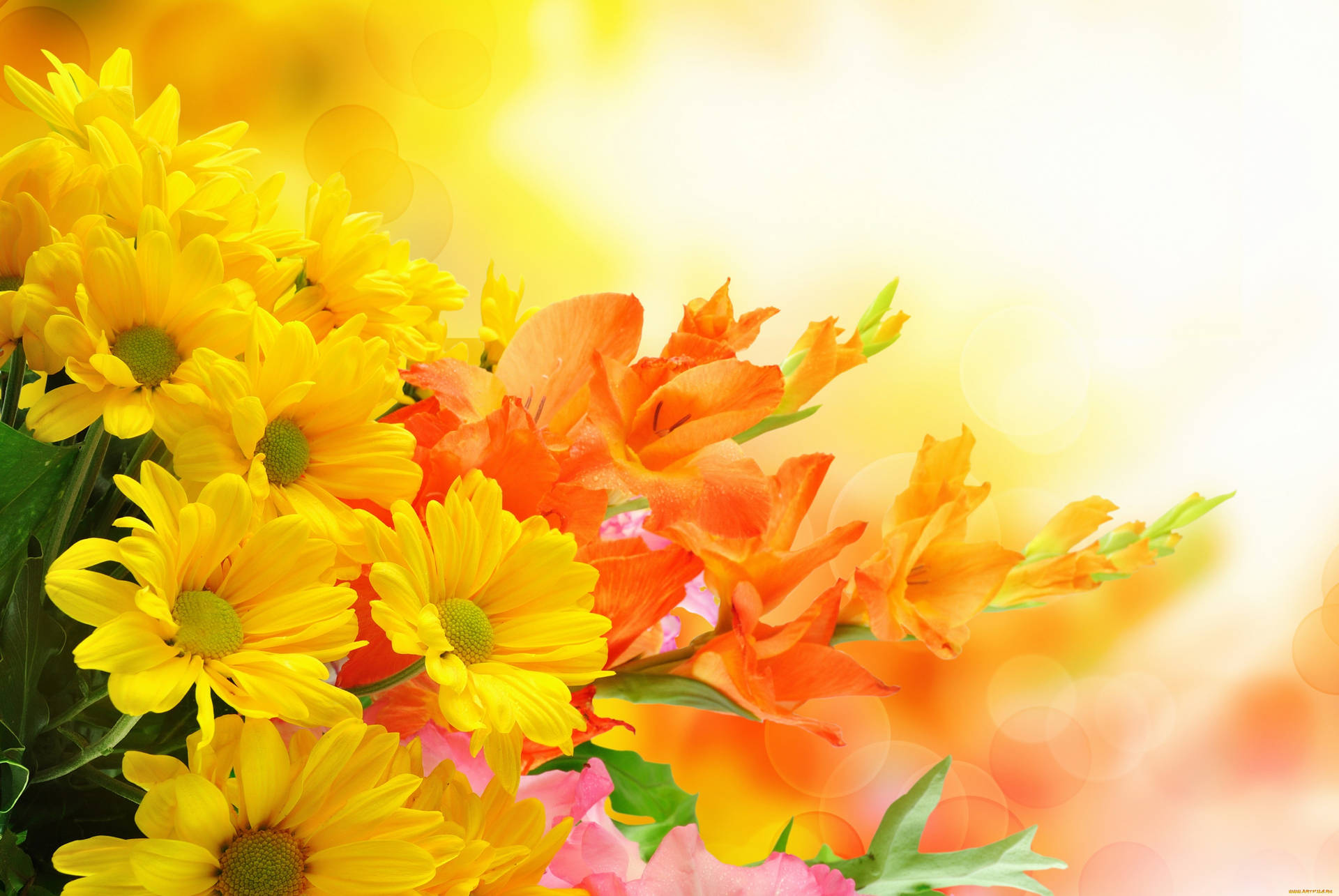 Kleineorange Und Gelbe Blumen Wallpaper