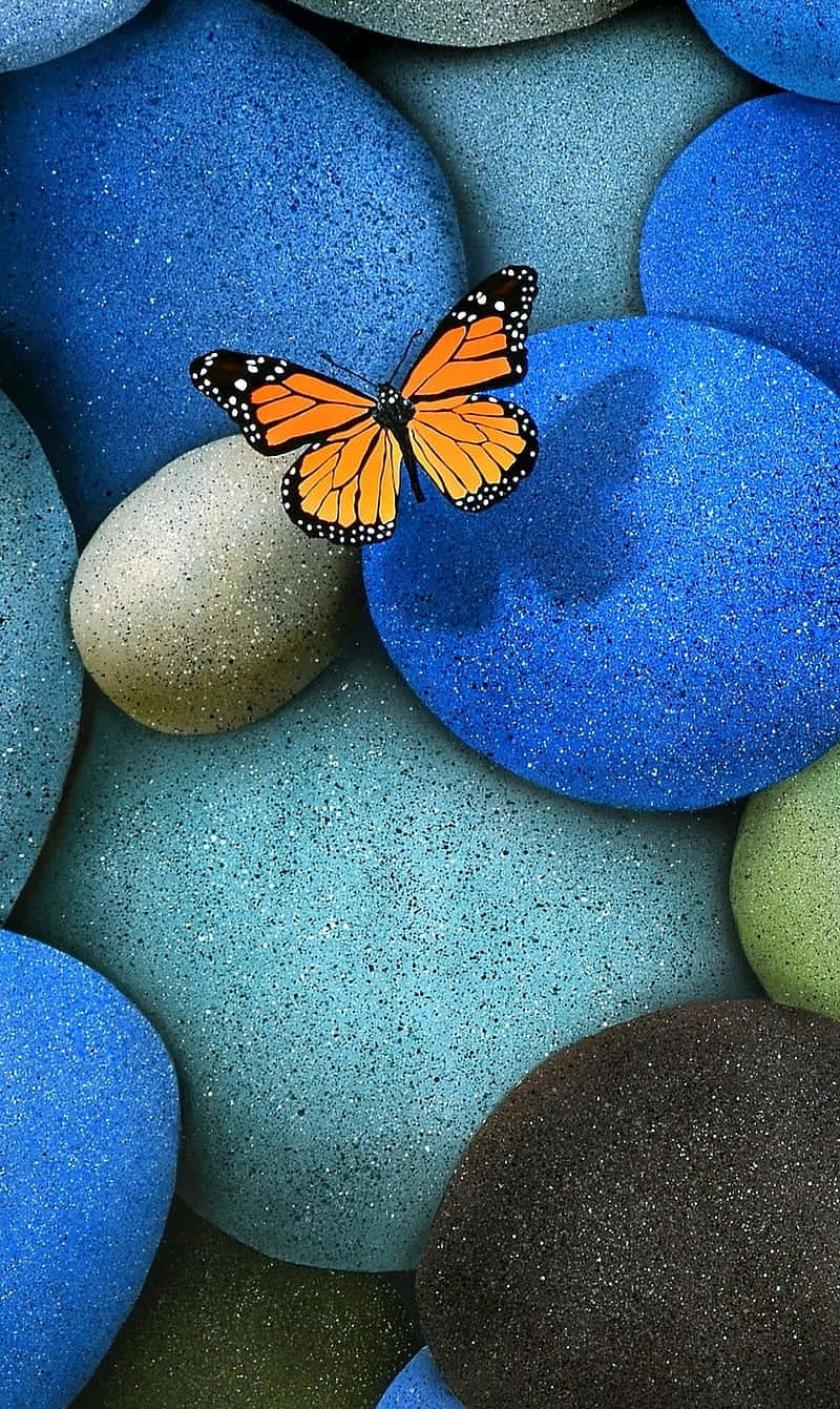 A Butterfly Sitting On A Blue Pebble Wallpaper