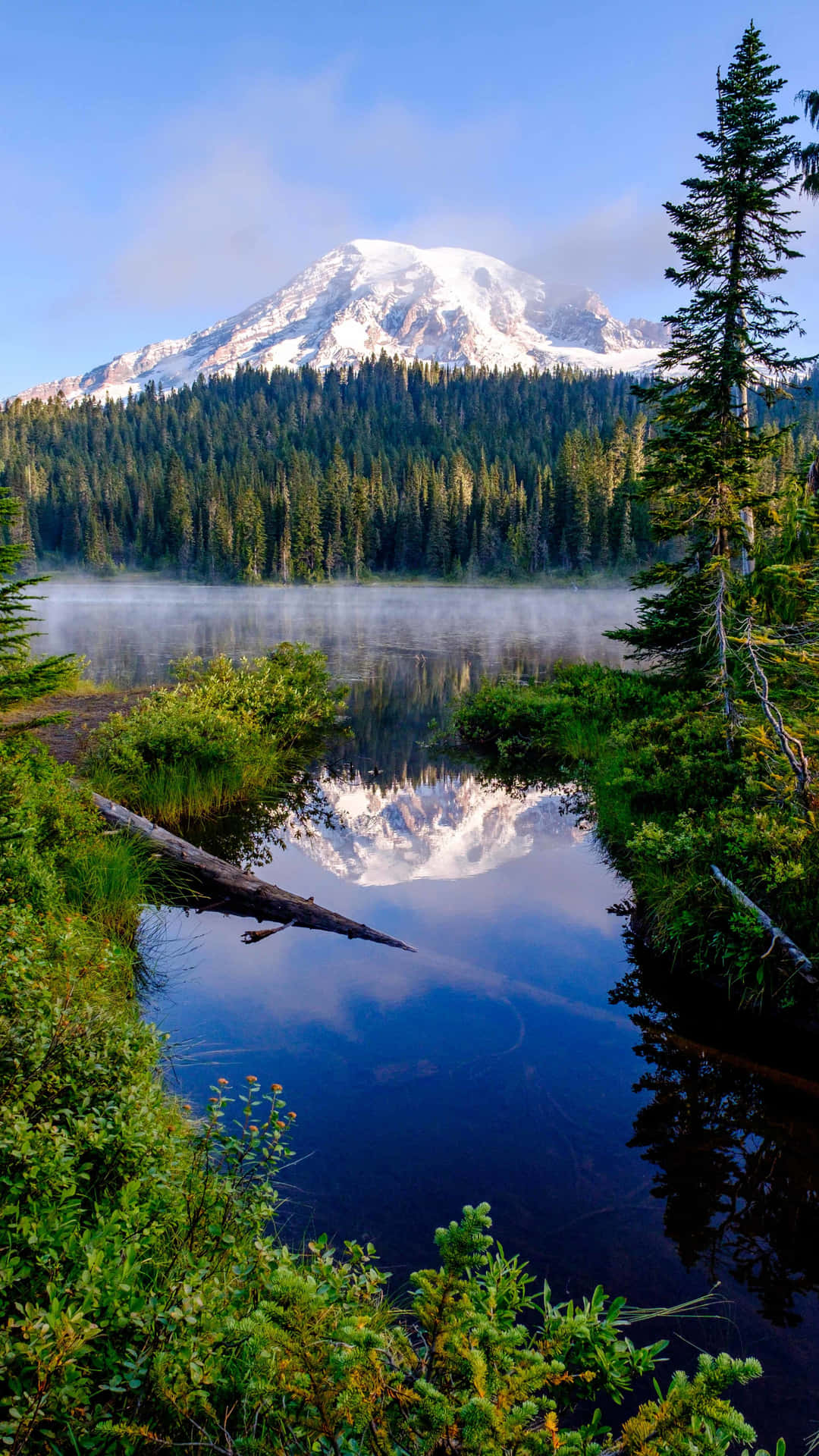 A Lake Surrounded By Trees And A Mountain Wallpaper