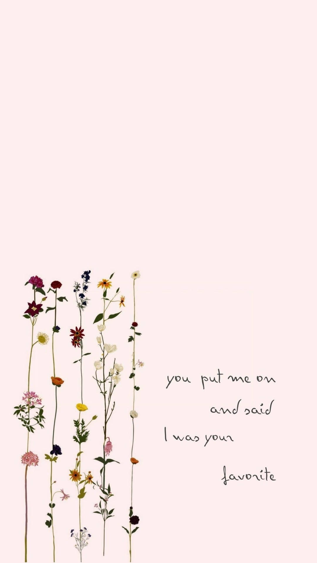 Download Small Quotes From Taylor Swift Songs Wallpaper | Wallpapers.com