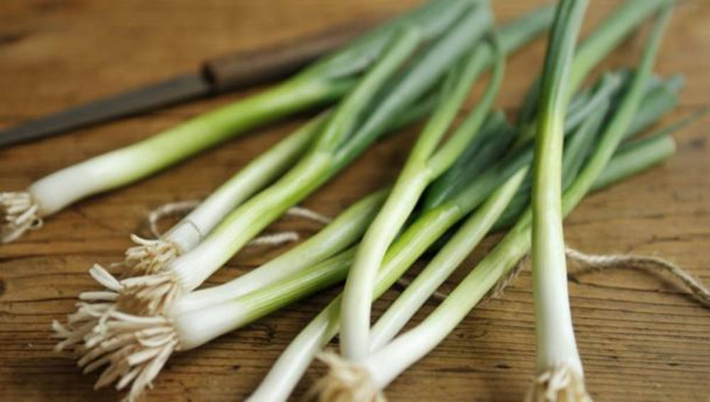 Small Spring Onion Scallions With Brown Knife Wallpaper