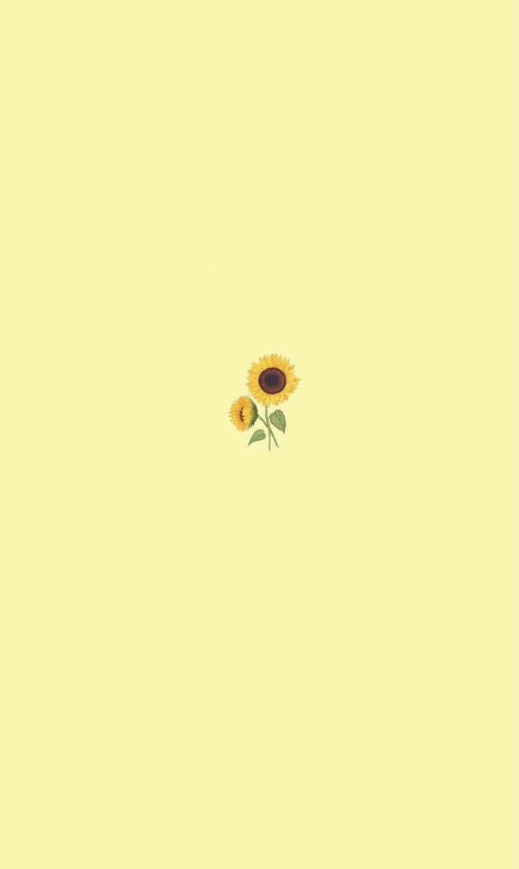 Small Sunflower Cute Pastel Yellow Background Wallpaper