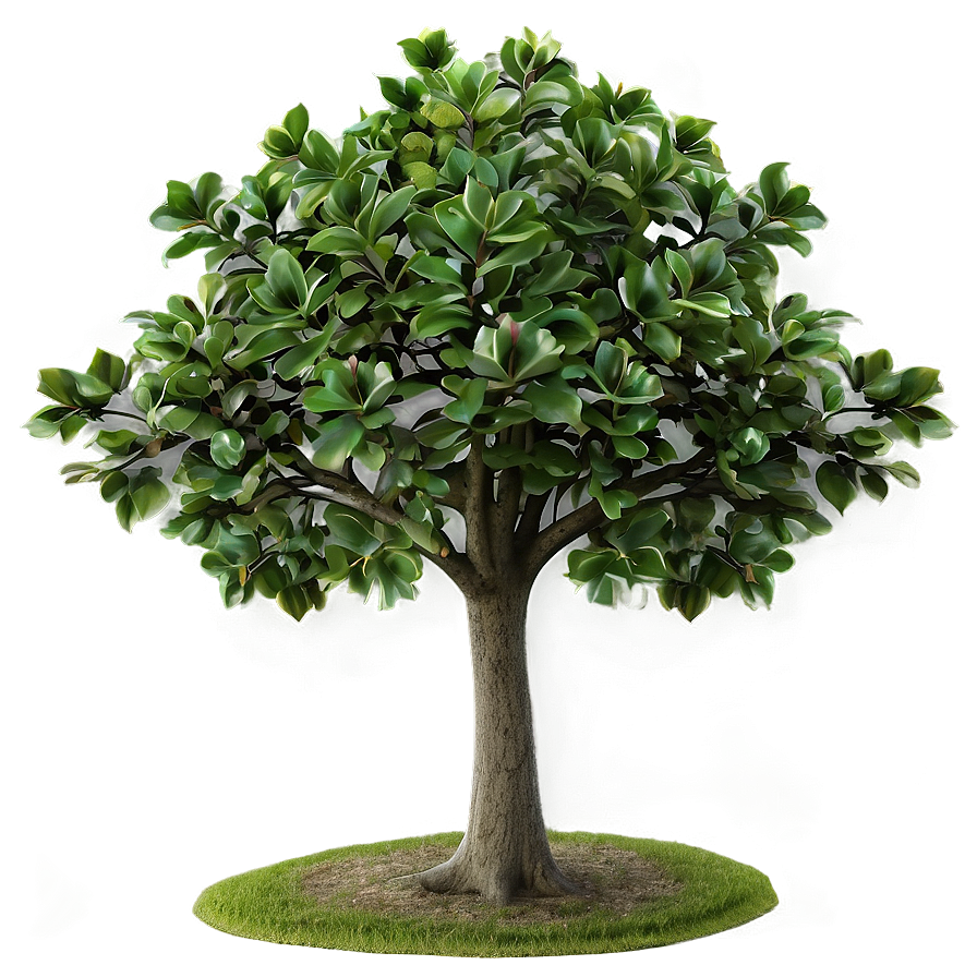 Small Tree Transparent Background Png Nte5 PNG